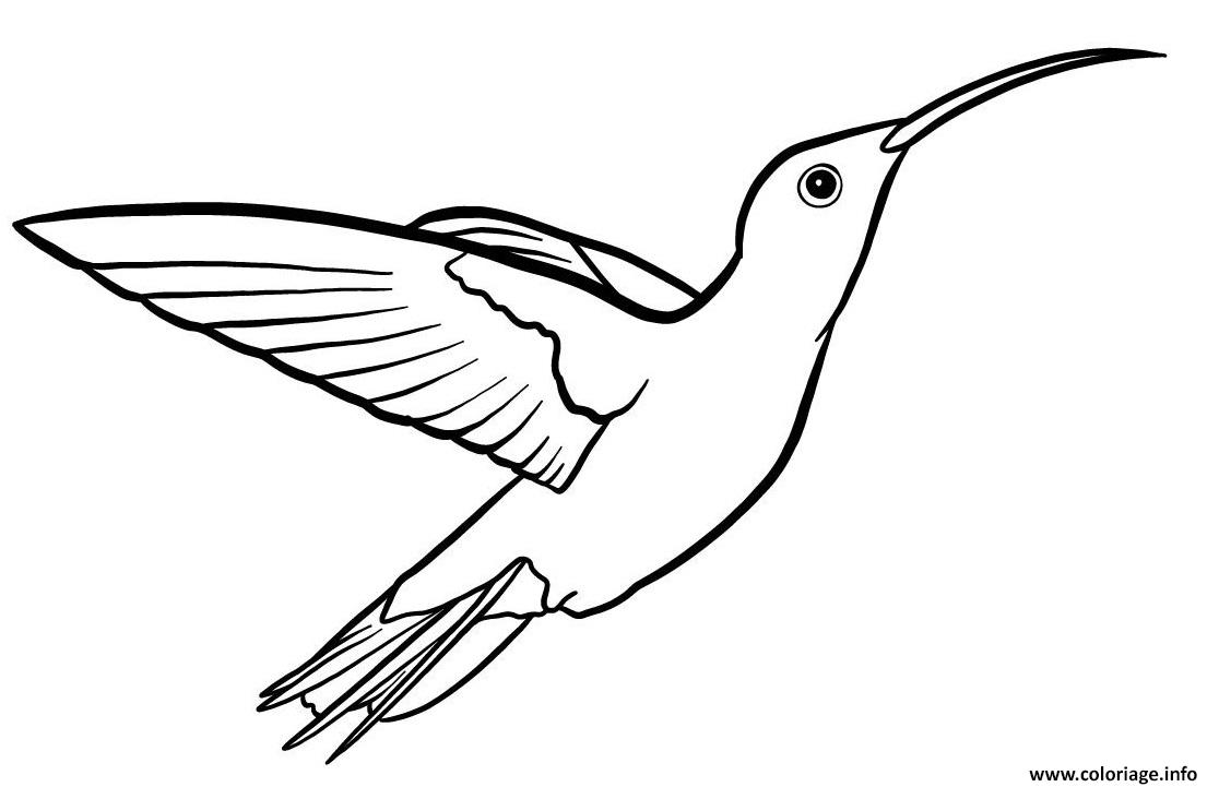 Dessin oiseau colibris de petite taille Coloriage Gratuit à Imprimer